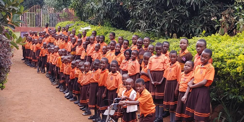 Mentorship in action